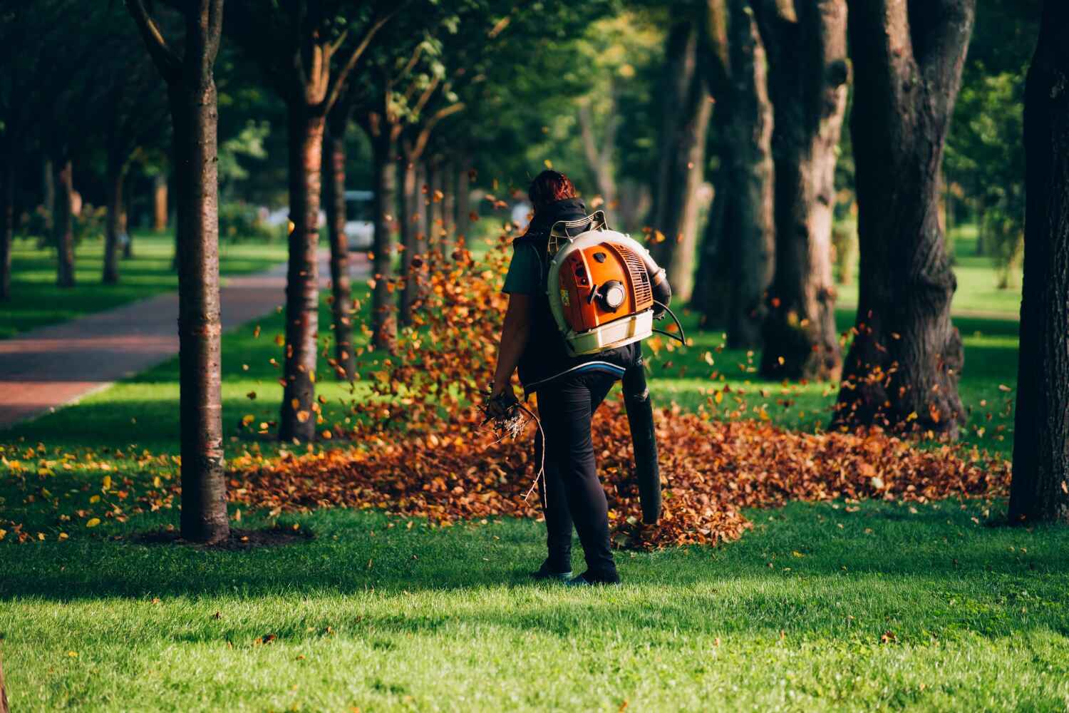 Trusted Deerfield, MI Tree Service Experts